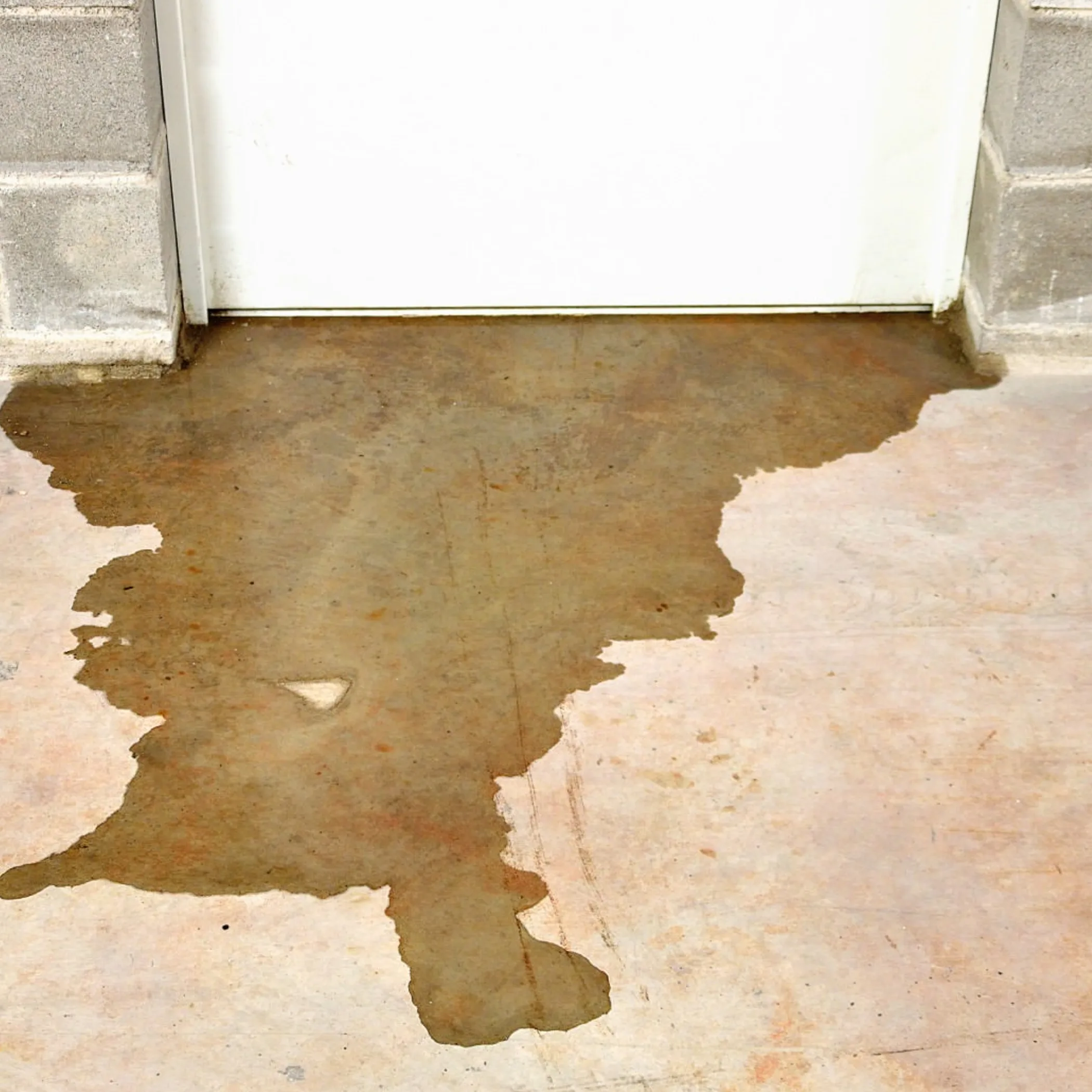 water pooling near basement door